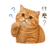 842357592