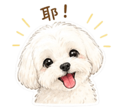 842357711
