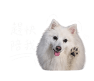 842357825