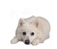 842357826