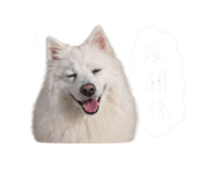 842357830