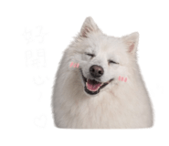 842357831