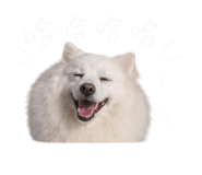 842357832