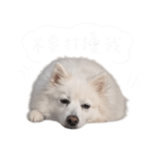 842357834