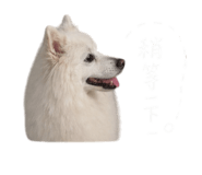 842357835