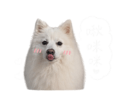 842357836