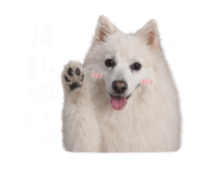 842357837
