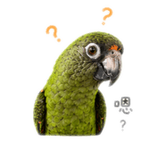 842357900