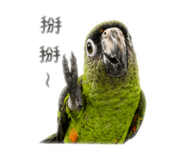 842357915