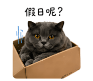 842358050