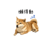842358081