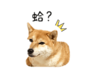 842358082