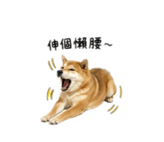 842358085