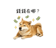 842358086