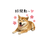 842358088