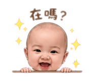 842358381