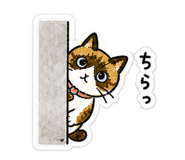 842359025