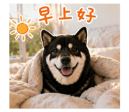 842360177