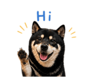 842360181