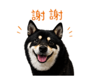 842360182