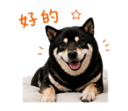 842360184