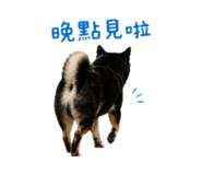 842360186