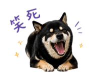 842360188