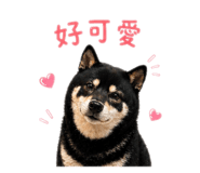 842360190