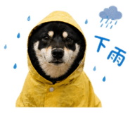 842360192