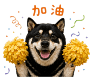 842360195