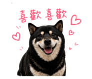 842360200