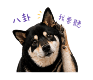 842360201