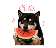 842360202