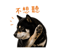 842360203