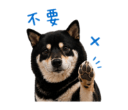 842360204