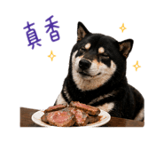842360207
