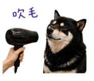 842360211