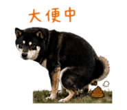 842360212