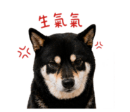 842360215