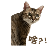 842360345