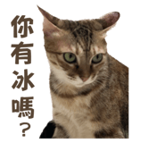 842360346