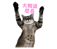 842360348