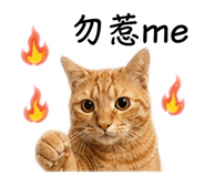 842360457
