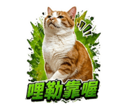 842360500