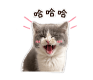 842360580