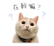 842360815