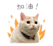 842360818