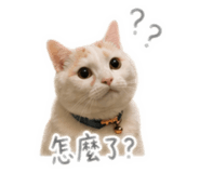 842360821