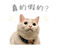 842360822