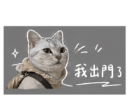 842360920